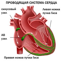 4_aritm04.jpg