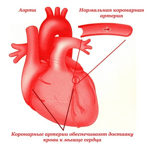 Что делать при болях в суставах тазобедренных лечение