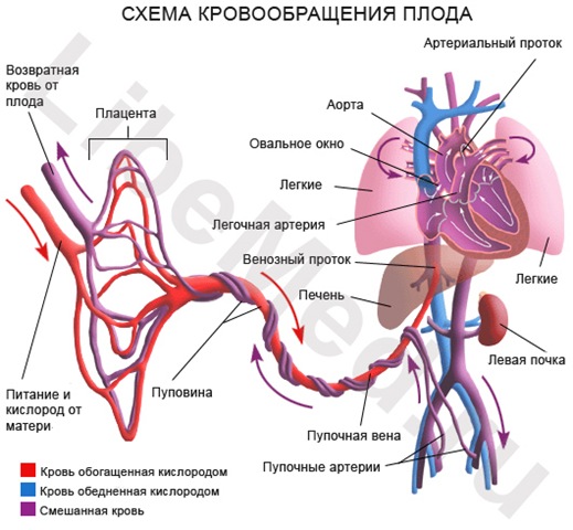 Крючком вязание сердце Крючком вязание сердце