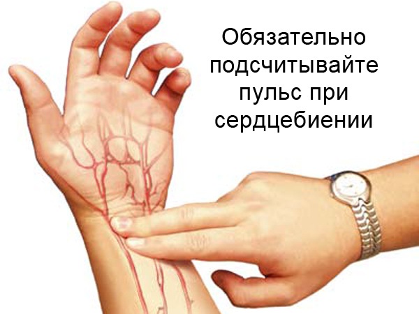 когда учащенное сердцебиение что делать когда учащенное сердцебиение что делать